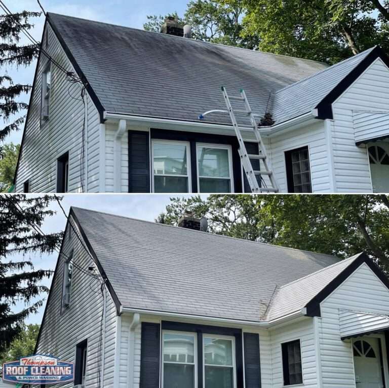 Shingle Roof Cleaning & Disinfecting, Chester Township NJ 07930