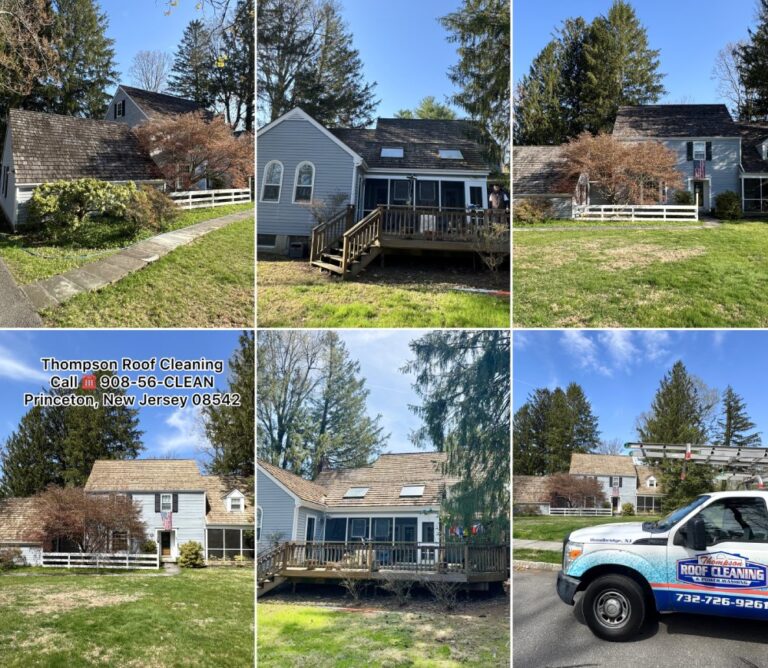 Cedar Roof Cleaning, Princeton NJ 08542